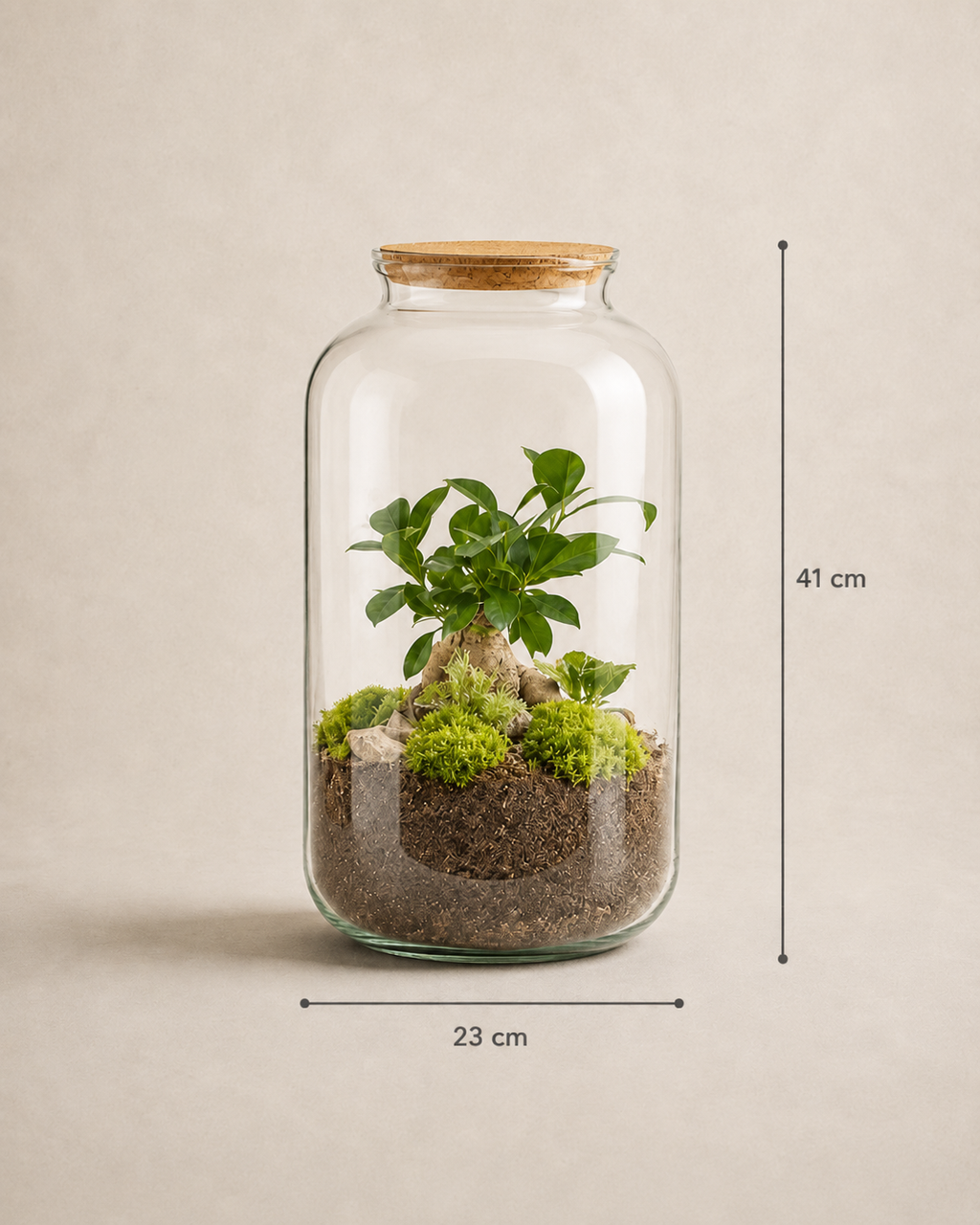 Terrário fechado Ampulla Ginseng em vidro com ginseng, musgo e composição natural tamanho G
