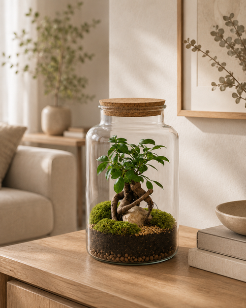 Terrário fechado Ampulla Ginseng em vidro com ginseng, musgo e composição natural tamanho M