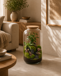Terrário fechado Ampulla Scena em vidro com plantas, musgo e composição natural