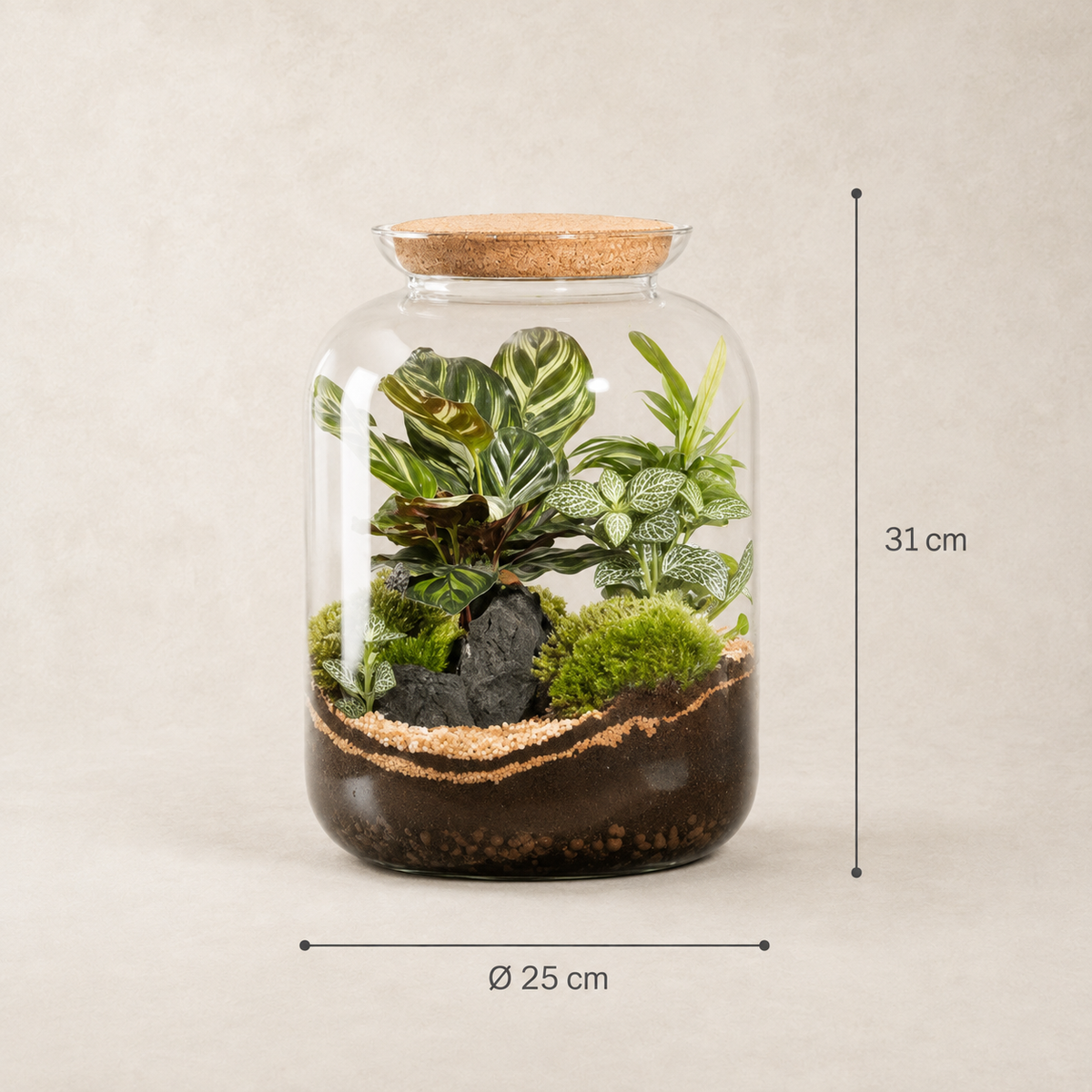 Dimensões do terrário Ampulla Misceo M: 25 cm de diâmetro e 31 cm de altura.