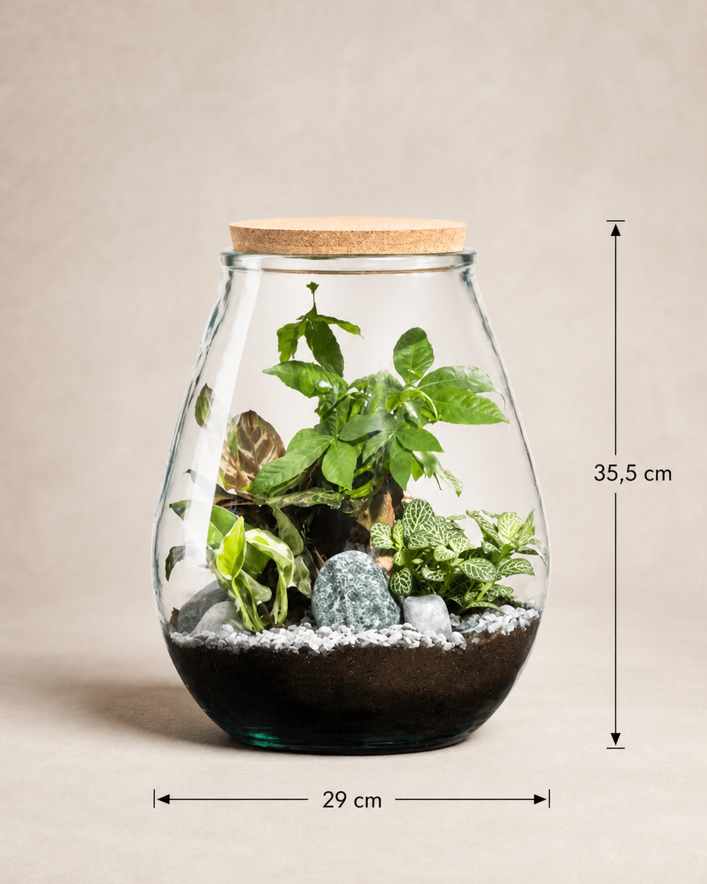Terrário fechado Pinguis Misceo #1 em vidro com plantas variadas, musgo e composição natural tamanho G