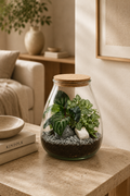 Terrário fechado Pinguis Misceo #1 em vidro com plantas variadas, musgo e composição natural tamanho M