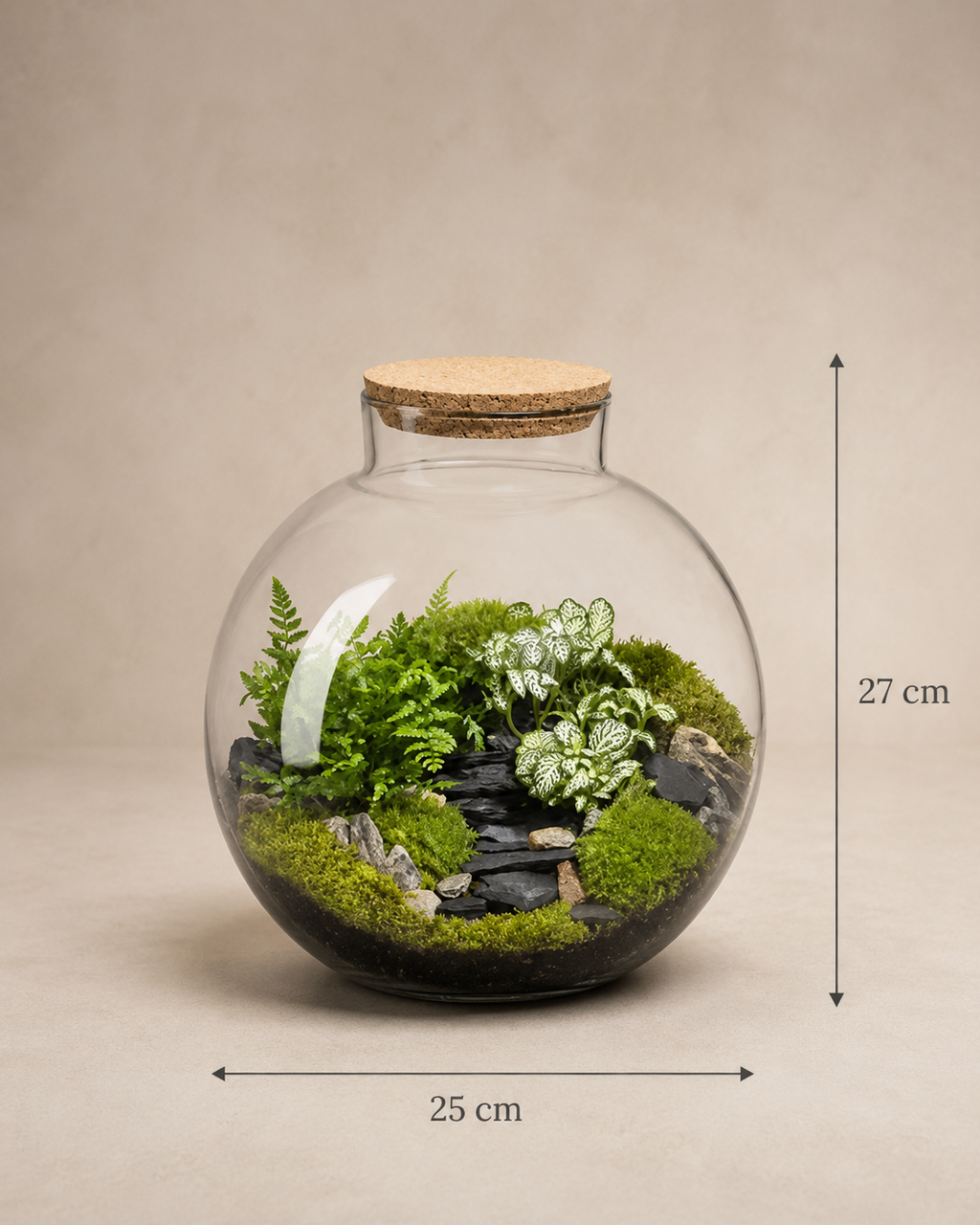 Terrário fechado Pinguis Scena #2 em vidro com plantas, musgo e composição natural tamanho G
