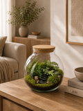 Terrário fechado Pinguis Scena #2 em vidro com plantas, musgo e composição natural tamanho M