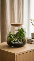 Terrário fechado Pinguis Scena #3 em vidro com plantas, musgo e composição natural