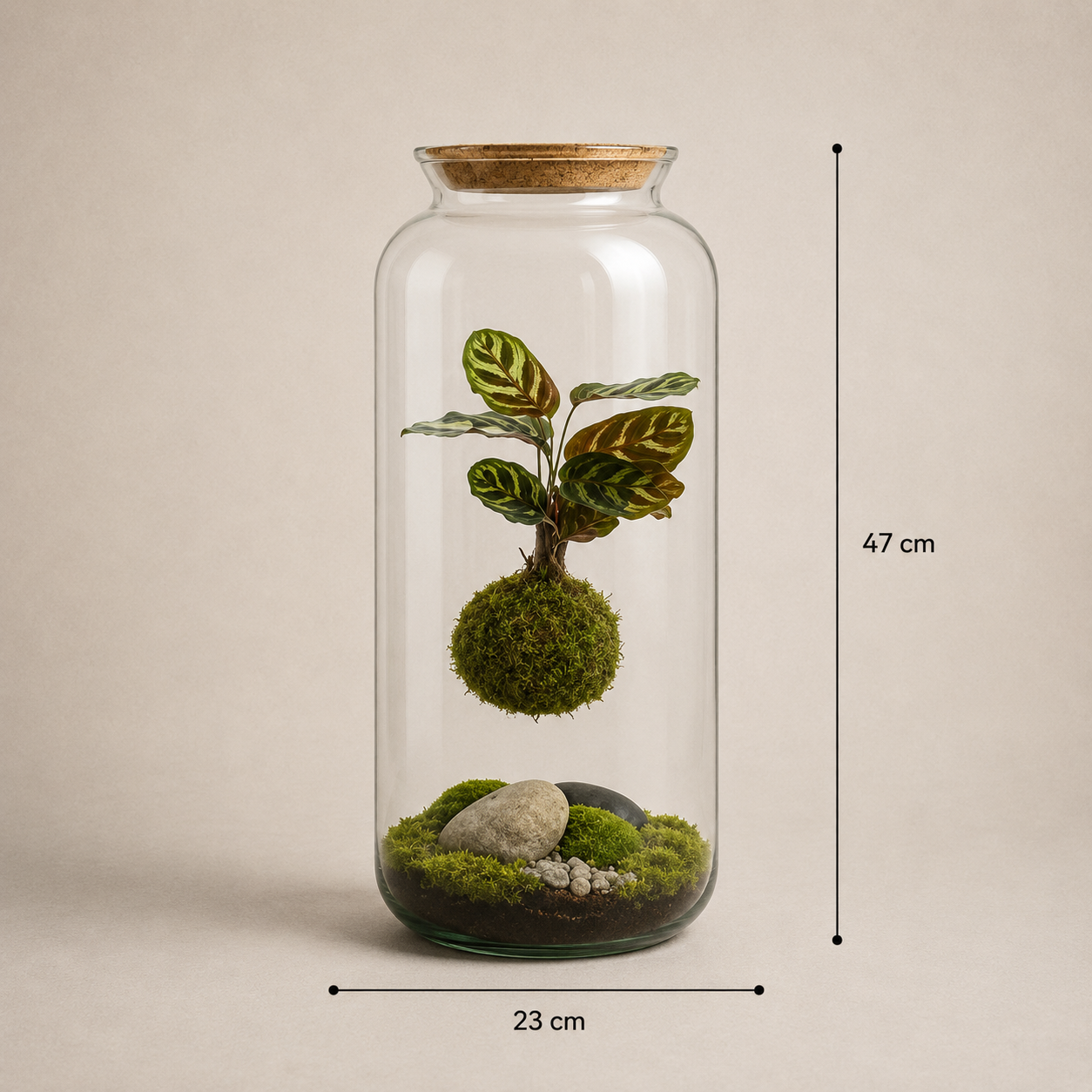 Terrário fechado X-Libris Kokedama Levitante com composição suspensa em vidro tamanho G