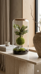 X-Libris Kokedama Levitante