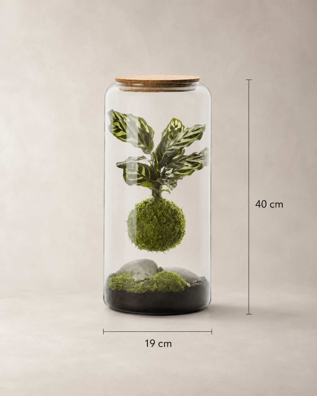 X-Libris Kokedama Levitante