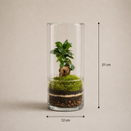 X-Libris Turris Ginseng