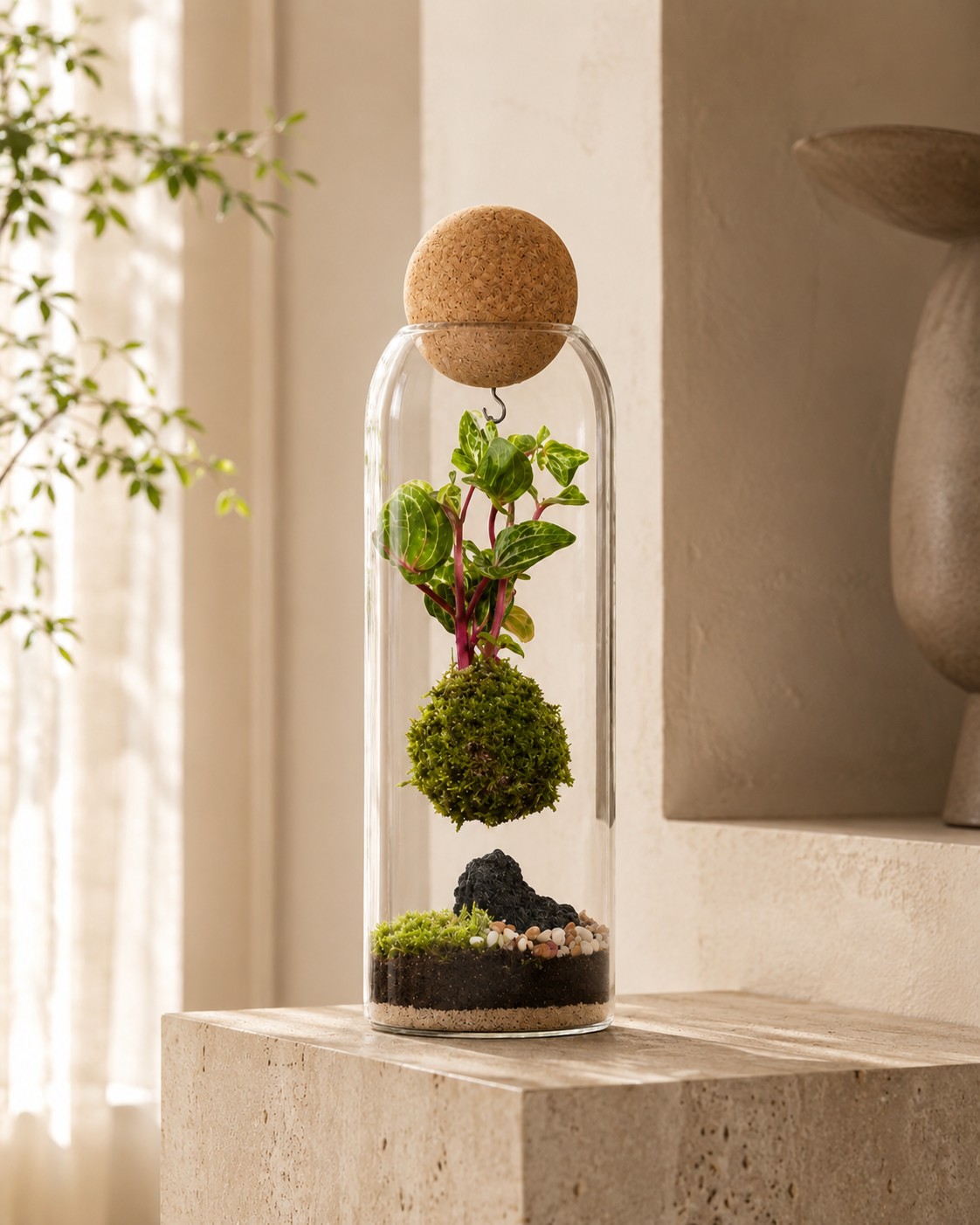X-Libris dLux Kokedama Levitante