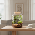 Terrário Ampulla Misceo com folhagem verde e musgo sobre uma mesa.